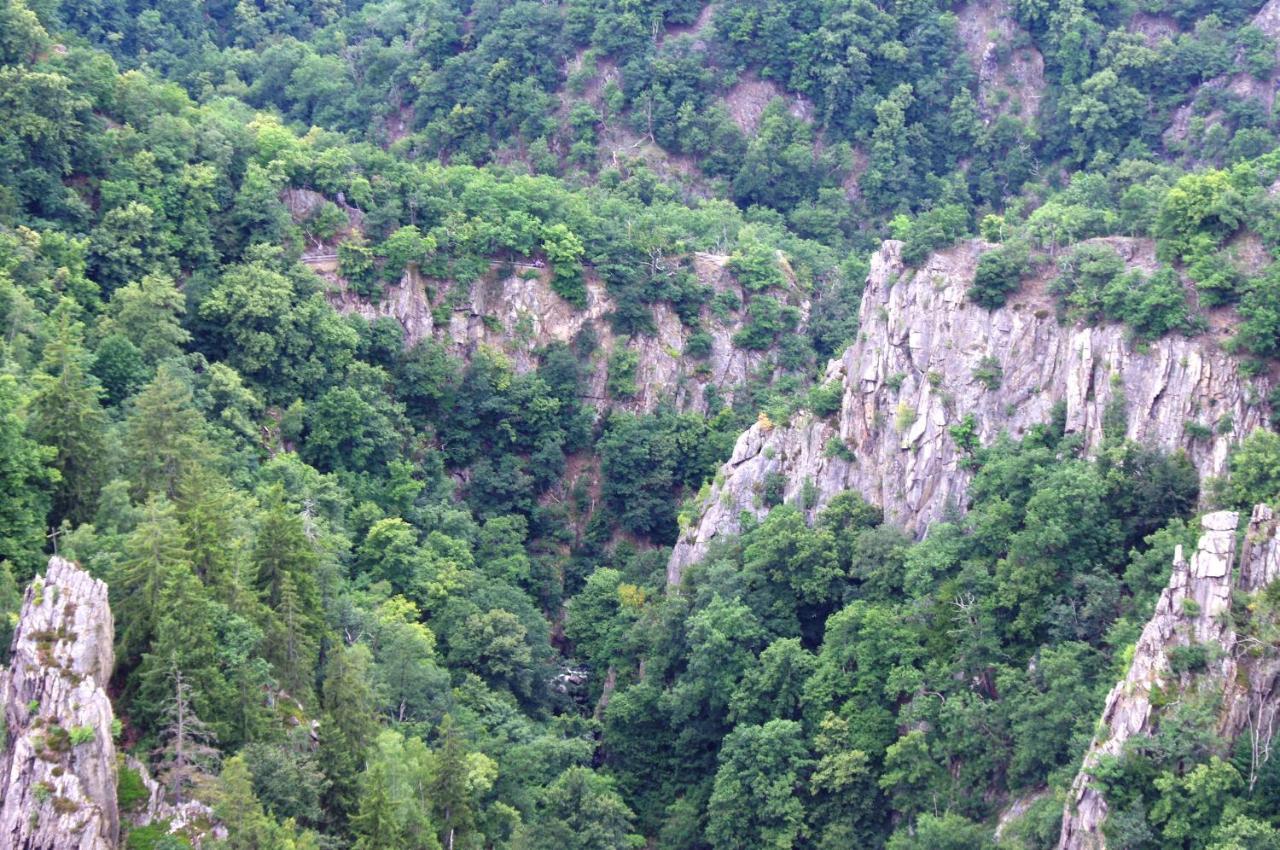 Feriendomizil Schlossblick Blankenburg  Zewnętrze zdjęcie