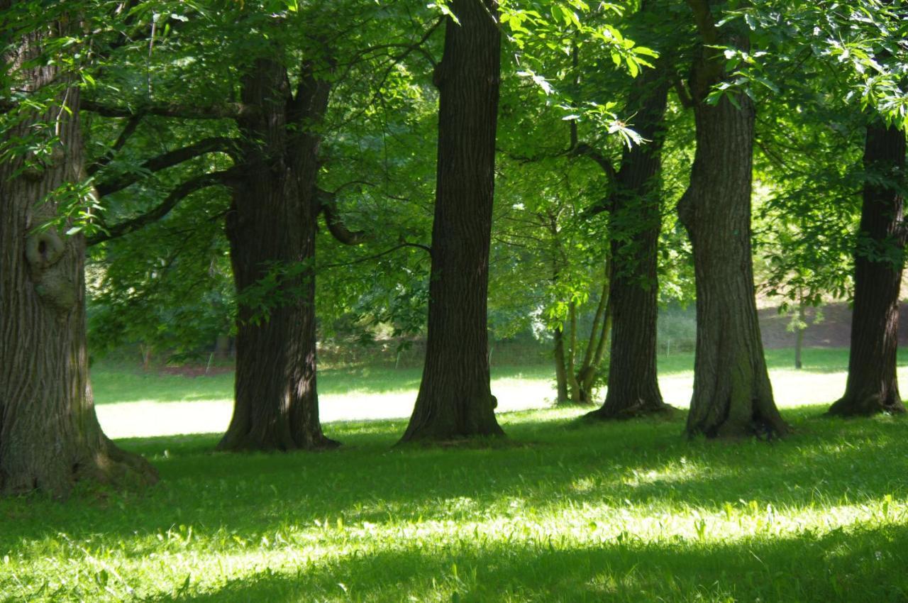 Feriendomizil Schlossblick Blankenburg  Zewnętrze zdjęcie